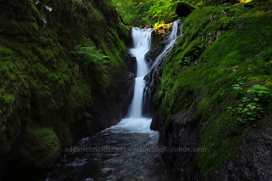 Duncan Creek Falls [Nellie Corser Wildlife Area, Skamania County, Washington]