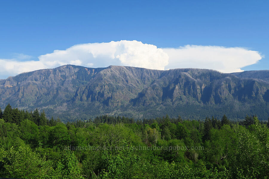 distant thunderstorms [Duncan Creek Road, Skamania County, Washington]