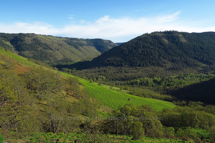 Klickitat Canyon [Glenwood Highway, Klickitat County, Washington]