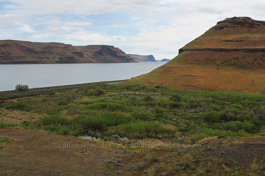 mouth of Juniper Canyon [McNary National Wildlife Refuge, Umatilla County, Oregon]