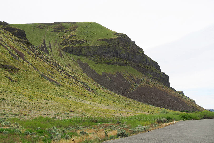 sagebrush & basalt [U.S. Highway 730, Walla Walla County, Washington]