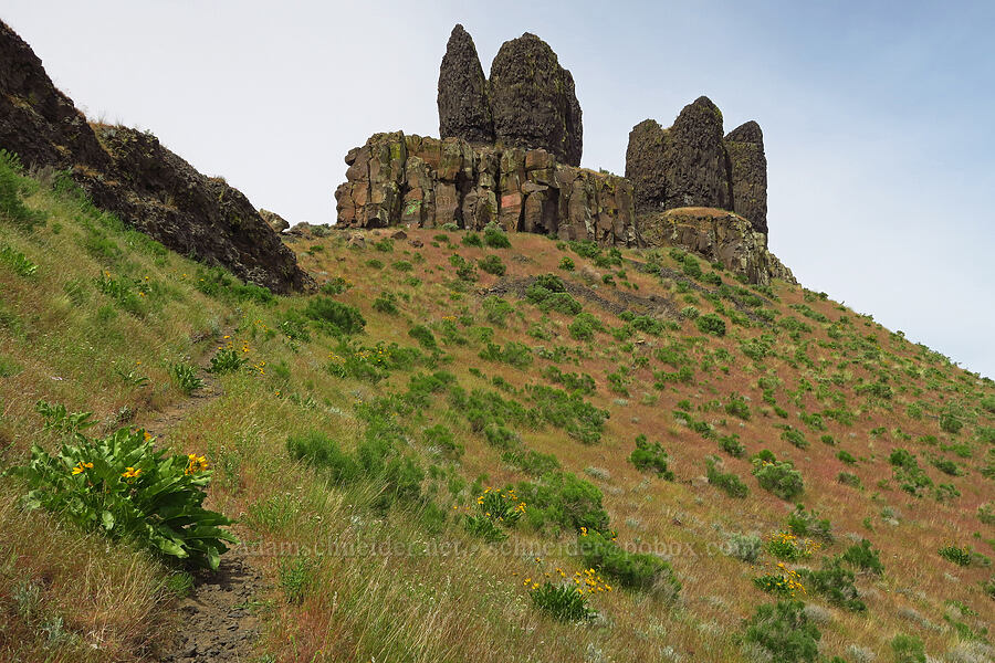 Twin Sisters [Twin Sisters, Walla Walla County, Washington]