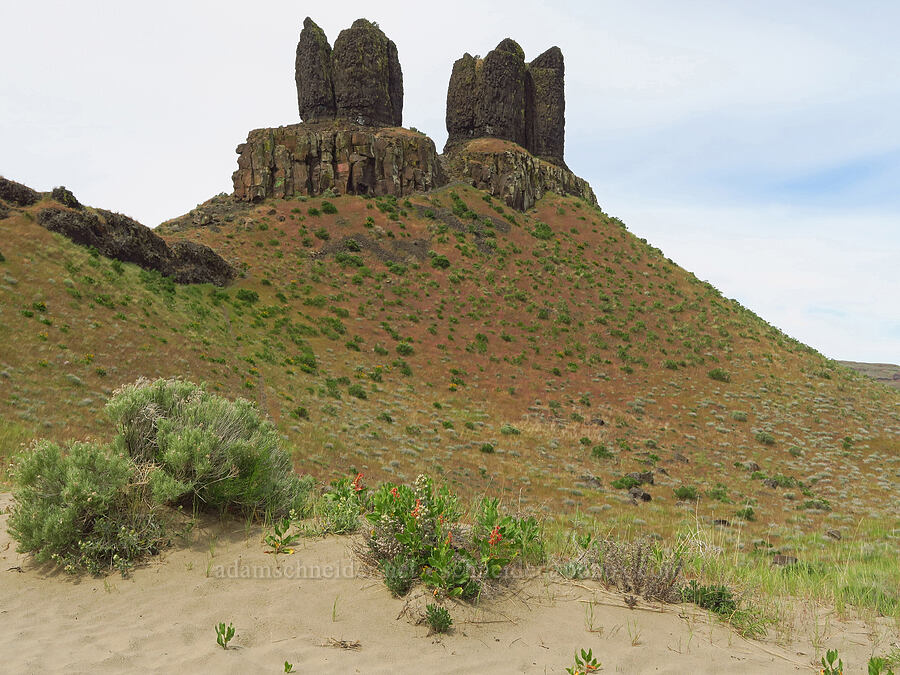 Twin Sisters & sand dunes [Twin Sisters, Walla Walla County, Washington]