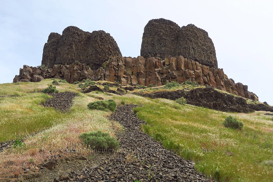 Twin Sisters [U.S. Highway 730, Walla Walla County, Washington]