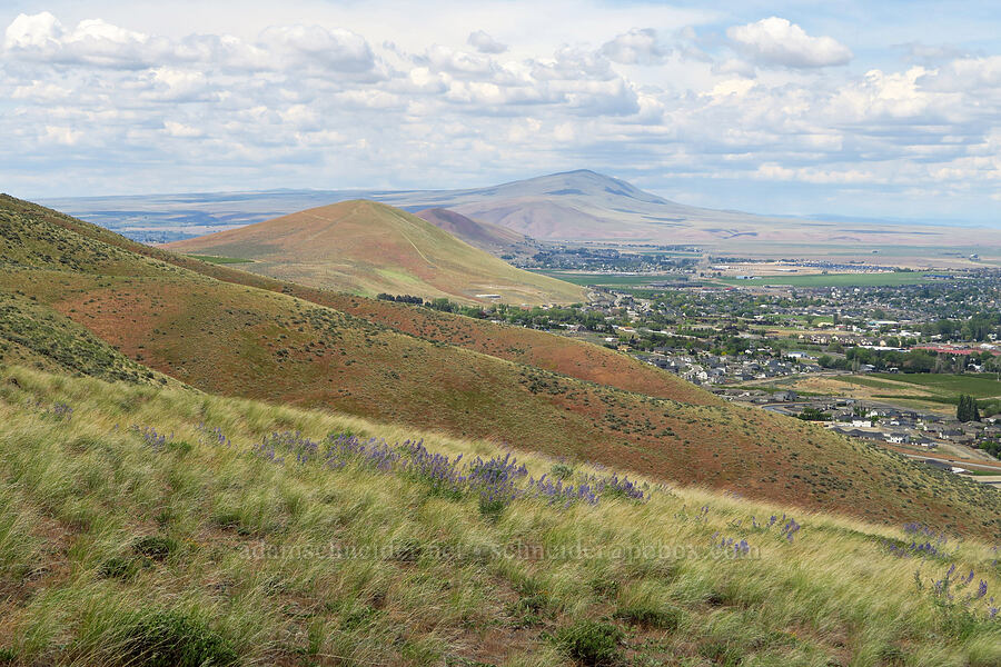 Candy Mountain, Red Mountain, & Rattlesnake Mountain [Badger Mountain, Benton County, Washington]
