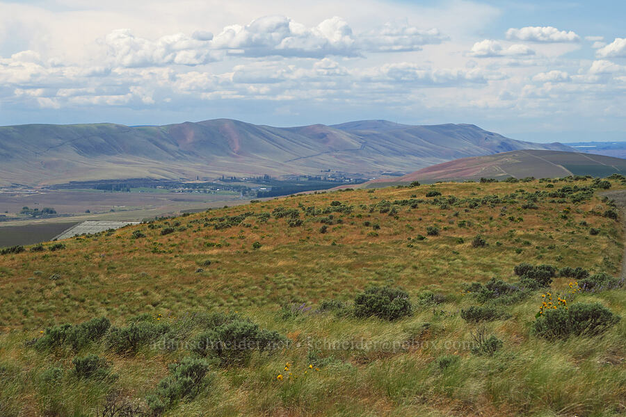 Horse Heaven Hills [Badger Mountain, Benton County, Washington]