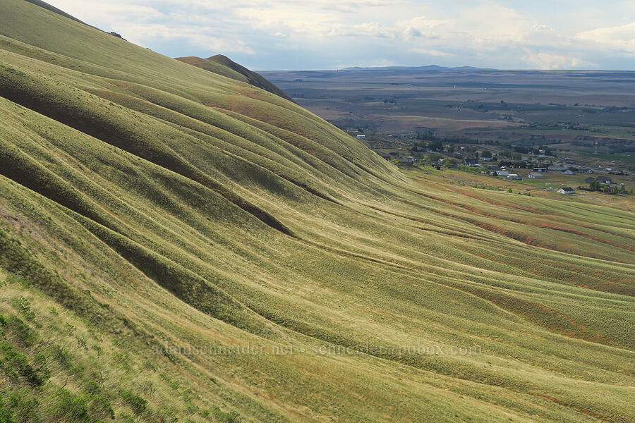 Horse Heaven Hills [McBee Road, Benton County, Washington]
