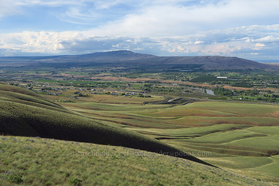 Horse Heaven Hills & Rattlesnake Hills [McBee Road, Benton County, Washington]