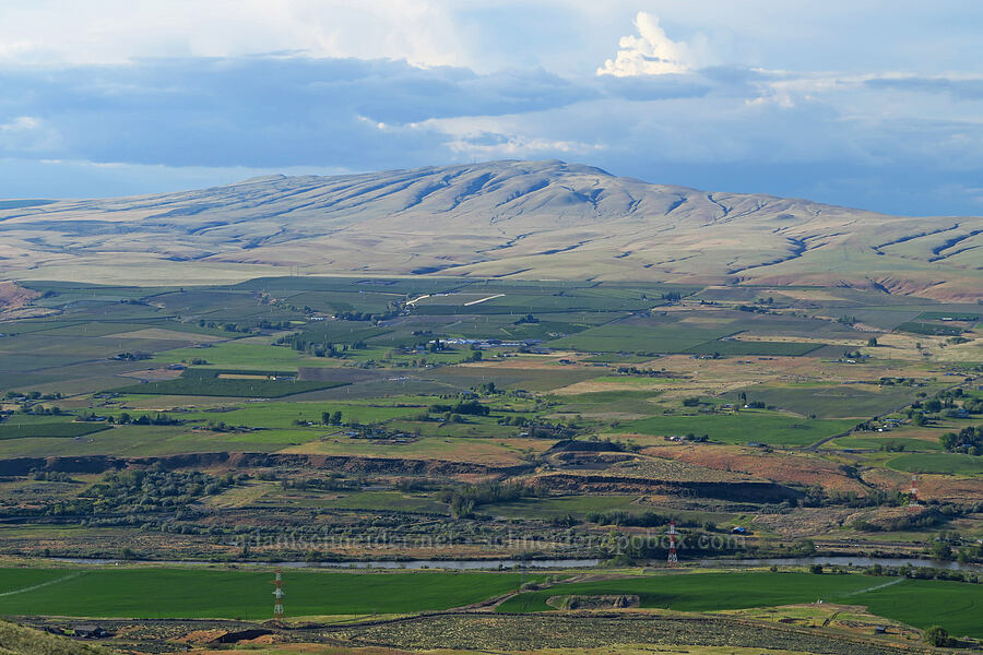 Rattlesnake Hills [Horse Heaven Hills, Benton County, Washington]
