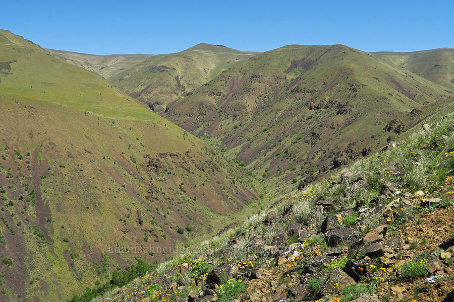Waterworks Canyon [Waterworks Canyon, Yakima County, Washington]