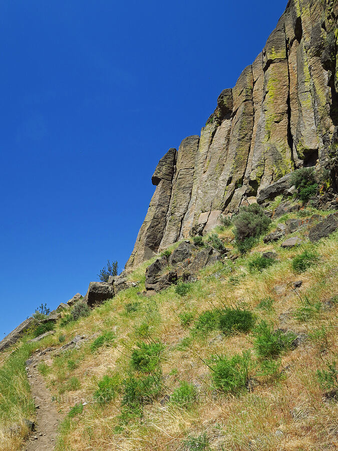 Royal Columns [Oak Creek Wildlife Area, Yakima County, Washington]