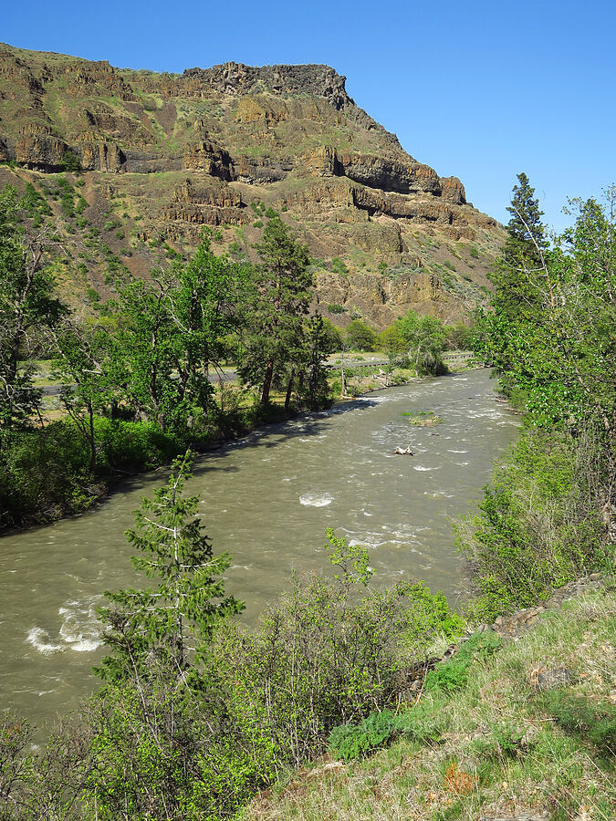 Tieton River [Tieton Nature Trail, Yakima County, Washington]
