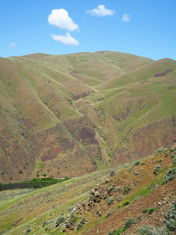 Umtanum Ridge [Umtanum Ridge, Kittitas County, Washington]