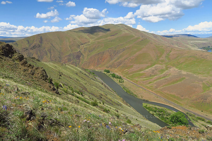 Umtanum Ridge & Yakima River Canyon [Baldy Mountain Trail, Kittitas County, Washington]