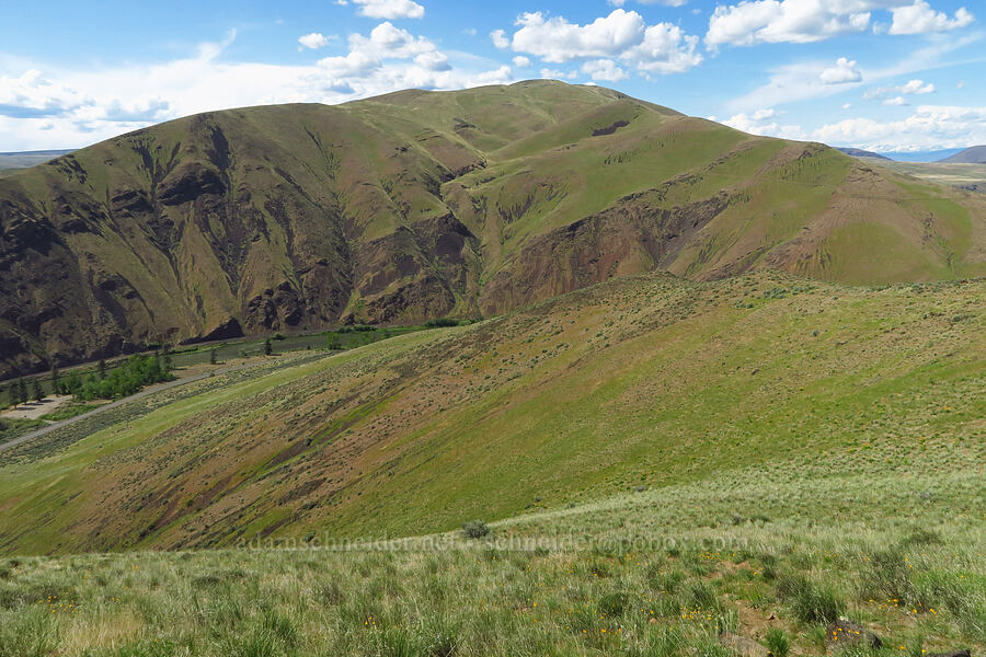 Umtanum Ridge [T. P. Jim Trail, Kittitas County, Washington]
