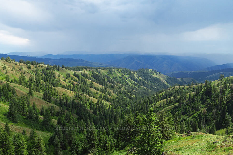 rain over the Blue Mountains [West Mountain Road, Asotin County, Washington]