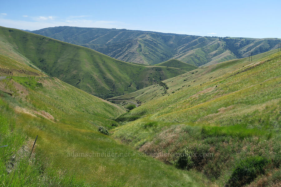 Blue Mountain foothills [Blind Grade Road, Garfield County, Washington]