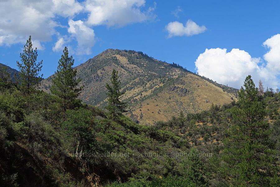 Little Cottonwood Peak [Humbug Creek Road, Klamath National Forest, Siskiyou County, California]