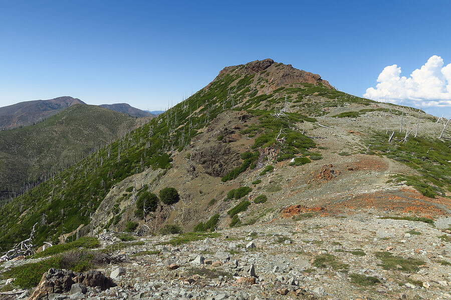 Whetstone Butte [Kalmiopsis Rim Trail, Rogue River-Siskiyou National Forest, Curry County, Oregon]