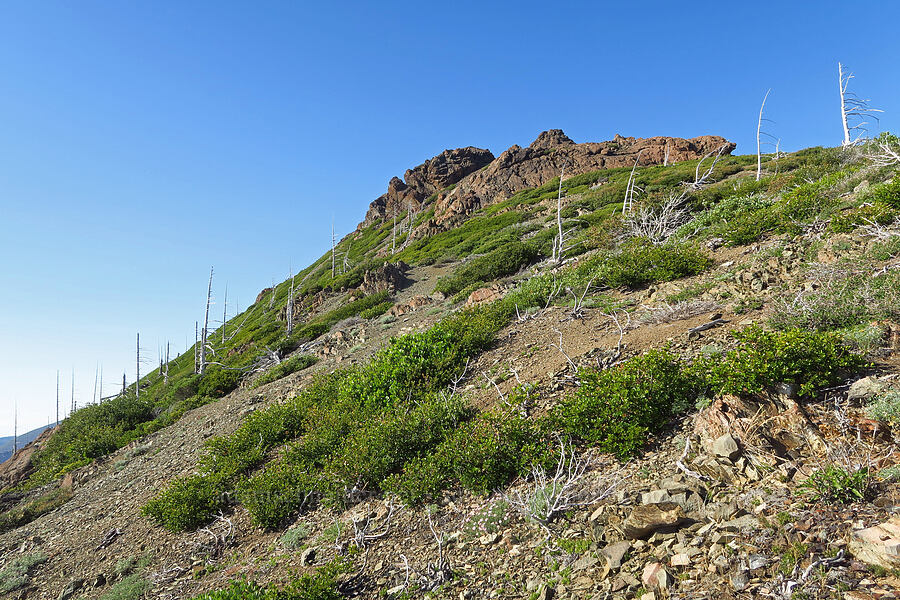 Whetstone Butte [Kalmiopsis Rim Trail, Rogue River-Siskiyou National Forest, Curry County, Oregon]