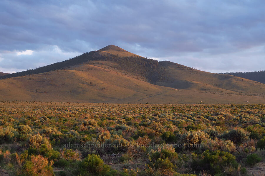 Pine Mountain at sunset [Pine Mountain Road, Deschutes County, Oregon]