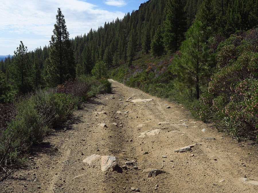 terrible road [Forest Road 2017, Deschutes County, Oregon]