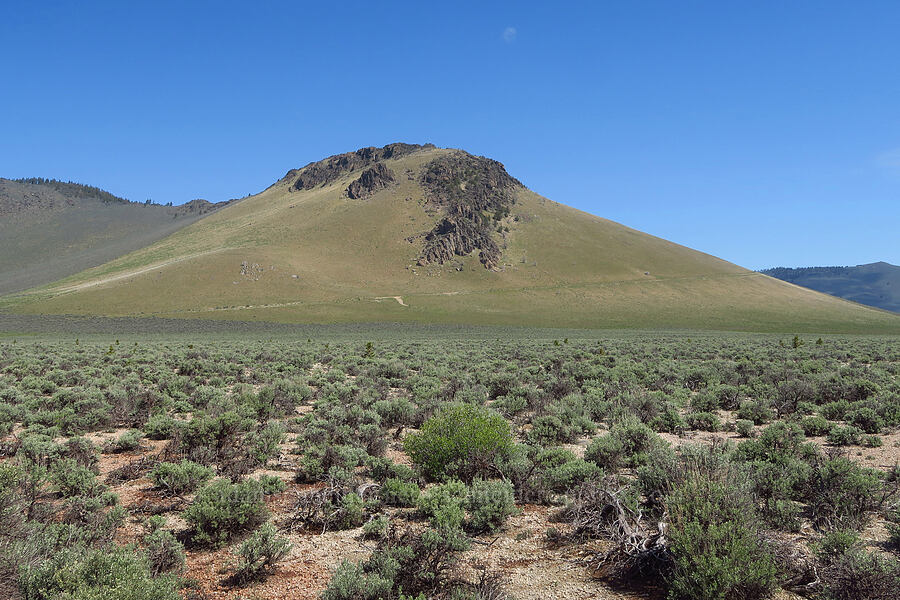 south end of Pine Mountain [Forest Road 2017, Deschutes County, Oregon]