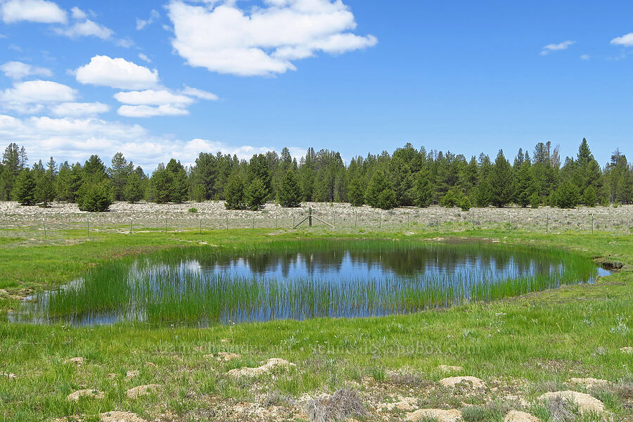 Pumice Springs [Pumice Springs, Deschutes County, Oregon]