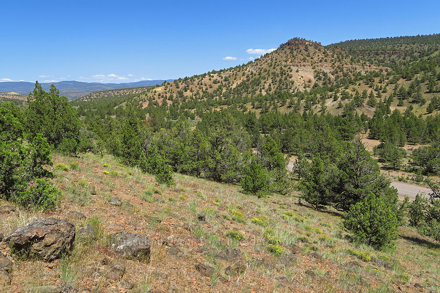 Sage Hollow [Sage Hollow, Crook County, Oregon]