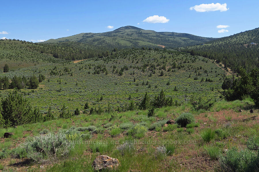 Taylor Butte [Crooked River Highway, Crook County, Oregon]