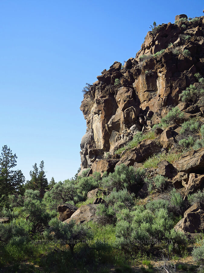 Dry River Canyon [Dry River Canyon, Deschutes County, Oregon]