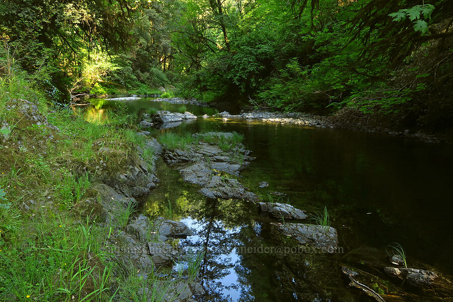 Mill Creek [Mill Creek, Jedediah Smith Redwoods State Park, Del Norte County, California]