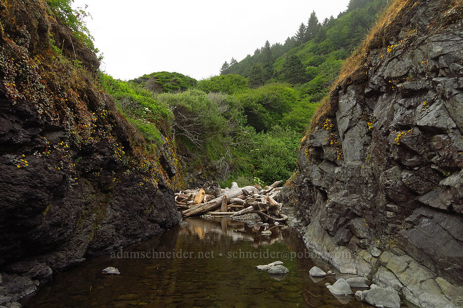 Nickel Creek [Enderts Beach, Redwood National Park, Del Norte County, California]