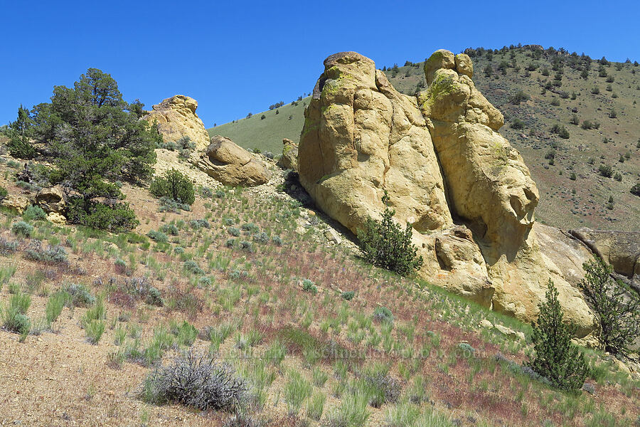 The Dinosaur [Smith Rock State Park, Deschutes County, Oregon]