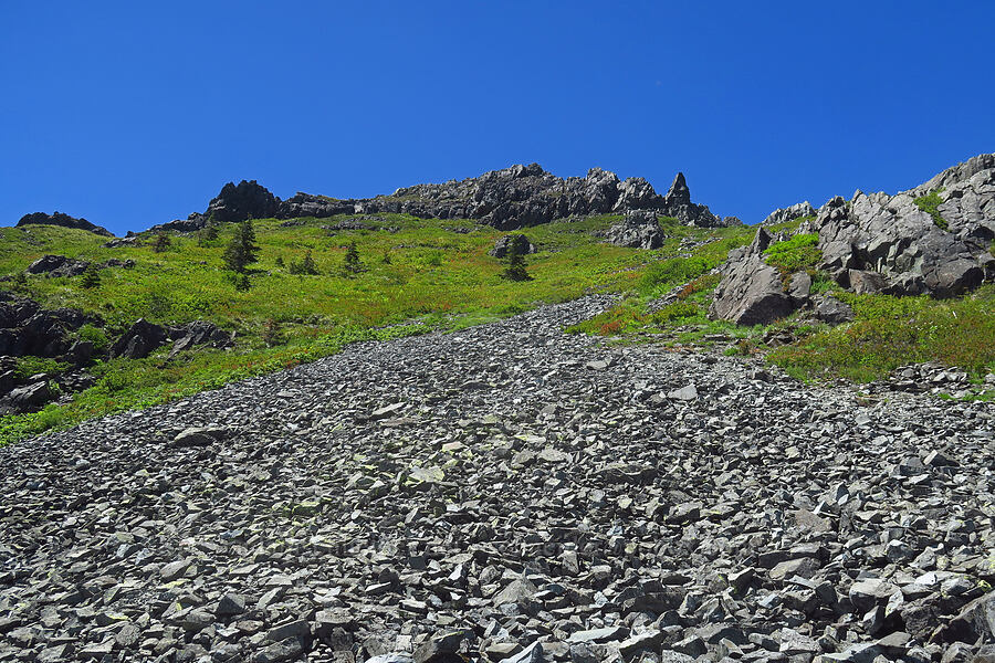 summit of Silver Star Mountain [Bluff Mountain Trail, Gifford Pinchot National Forest, Skamania County, Washington]