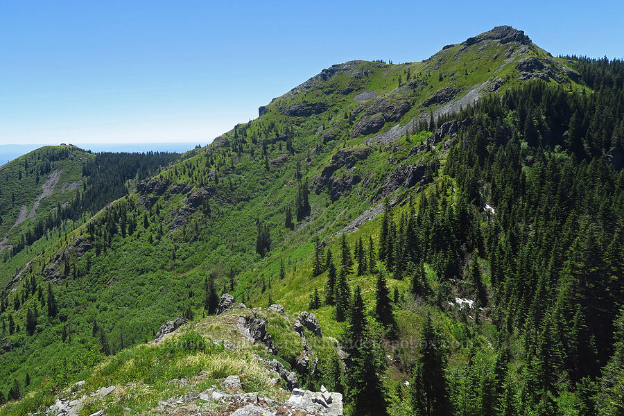 Silver Star Mountain [Bluff Mountain Trail, Gifford Pinchot National Forest, Skamania County, Washington]