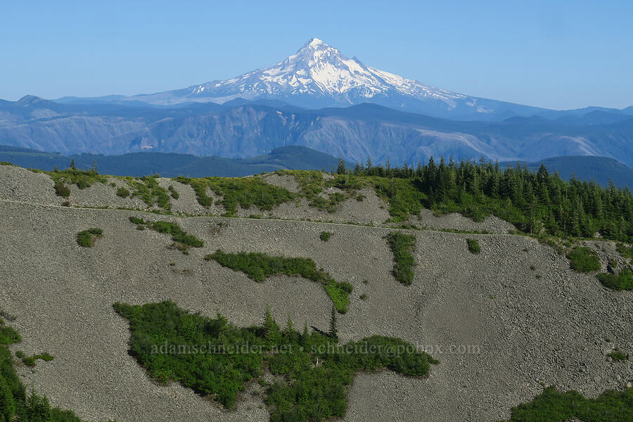 Mount Hood [east of Pyramid Rock, Gifford Pinchot National Forest, Skamania County, Washington]
