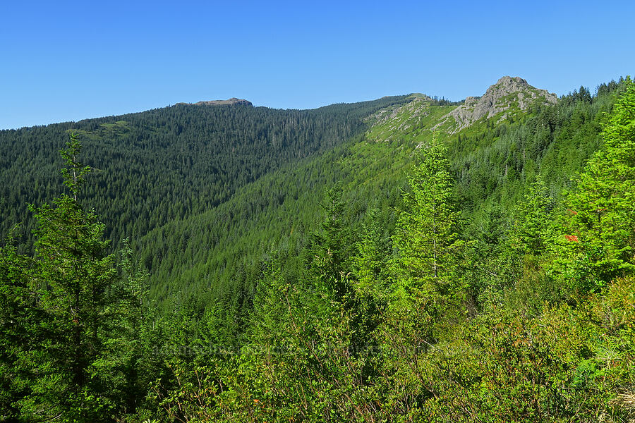 Sturgeon Rock & Pyramid Rock [Grouse Vista Trail, Yacolt Burn State Forest, Clark County, Washington]