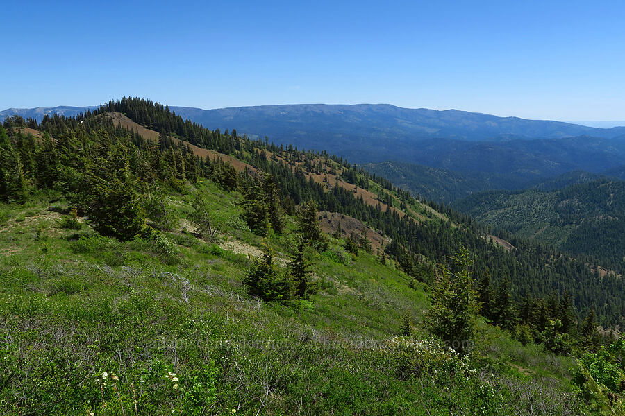 Joker & Table Mountain [Jester Mountain, Okanogan-Wenatchee National Forest, Kittitas County, Washington]