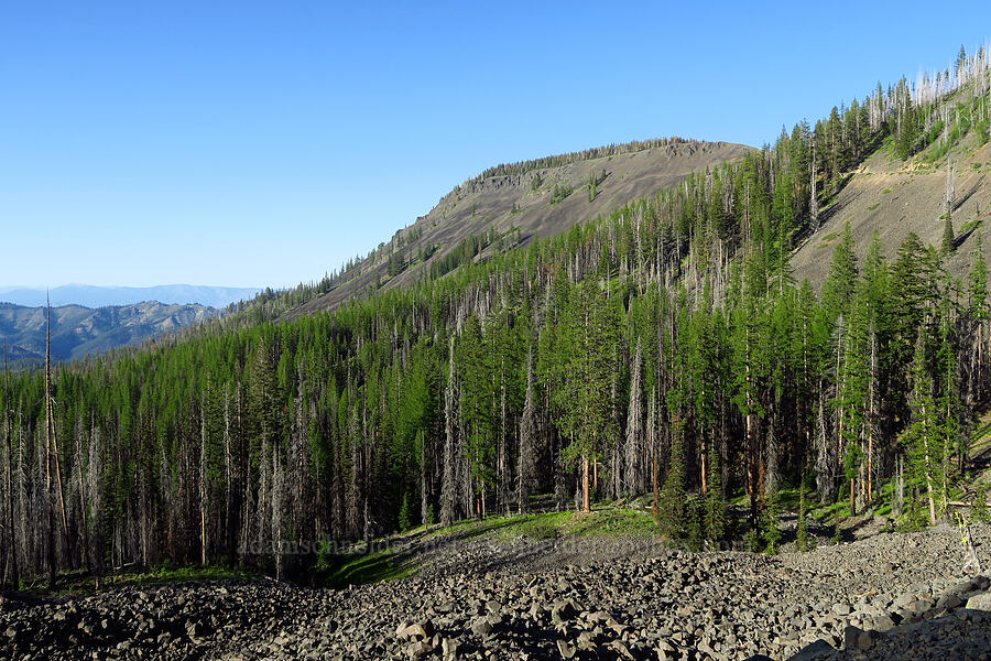 Table Mountain [Table Mountain, Okanogan-Wenatchee National Forest, Kittitas County, Washington]
