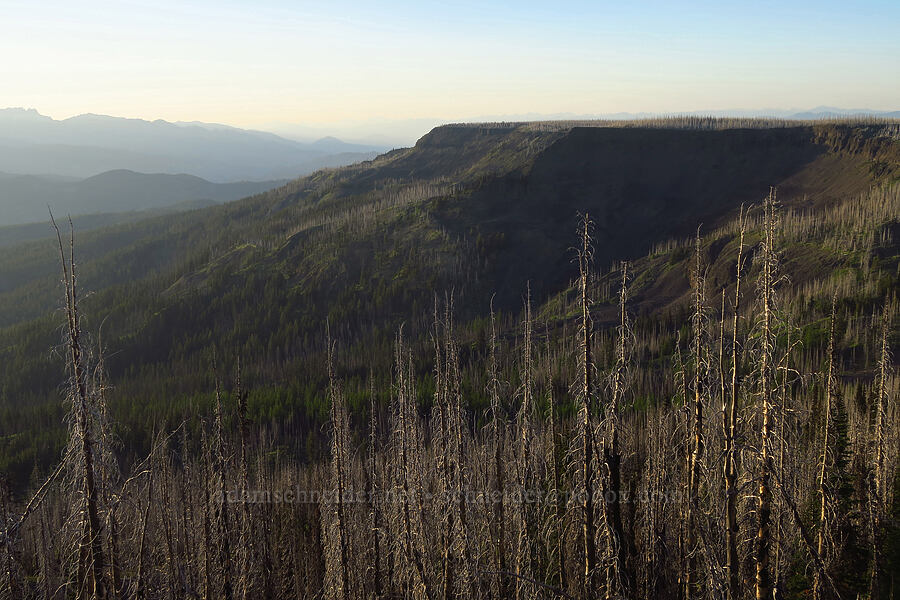 Table Mountain [Lion Rock, Okanogan-Wenatchee National Forest, Kittitas County, Washington]