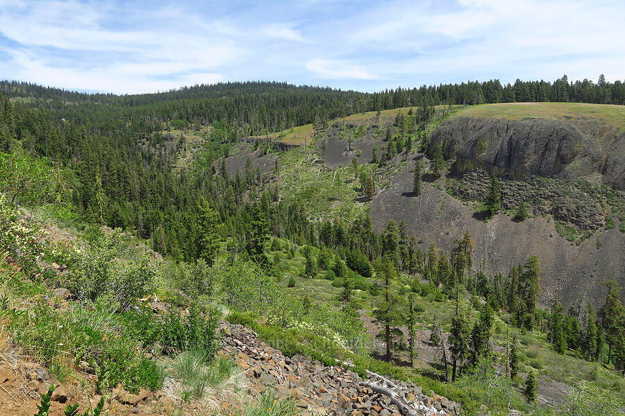 Reecer Creek Canyon [Reecer Creek Road, Okanogan-Wenatchee National Forest, Kittitas County, Washington]