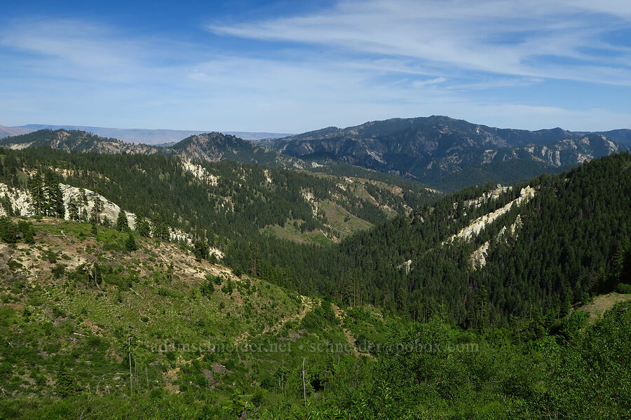 Wenatchee Mountains [Forest Road 7200, Okanogan-Wenatchee National Forest, Chelan County, Washington]