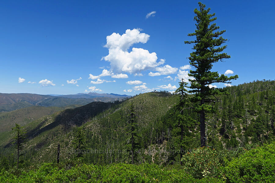 view to the northwest [County Road 315, Six Rivers National Forest, Del Norte County, California]
