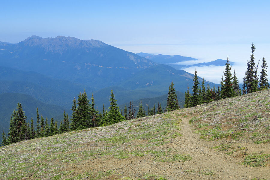 Klahhane Ridge & the marine layer [Blue Mountain, Olympic National Park, Clallam County, Washington]