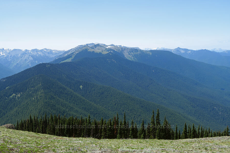 Maiden Peak [Blue Mountain, Olympic National Park, Clallam County, Washington]