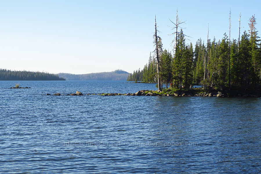 Waldo Lake [Waldo Lake Shoreline Trail, Willamette National Forest, Lane County, Oregon]