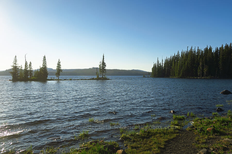 Waldo Lake [Waldo Lake Shoreline Trail, Willamette National Forest, Lane County, Oregon]