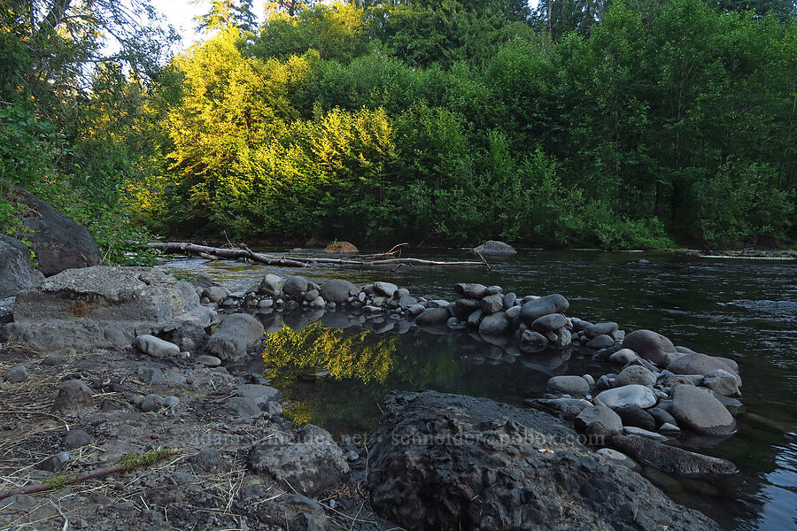 hot spring & Salt Creek [McCredie Hot Springs, Lane County, Oregon]