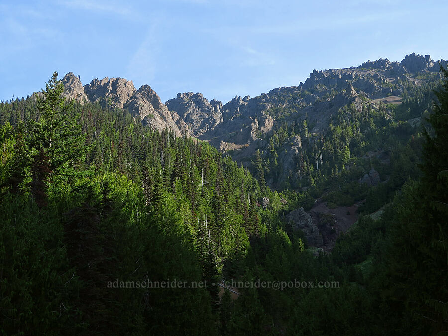 Mount Angeles [Switchback Trailhead, Olympic National Park, Clallam County, Washington]